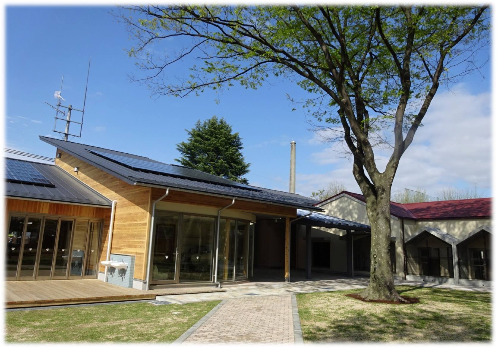 京都動物愛護センターの様子