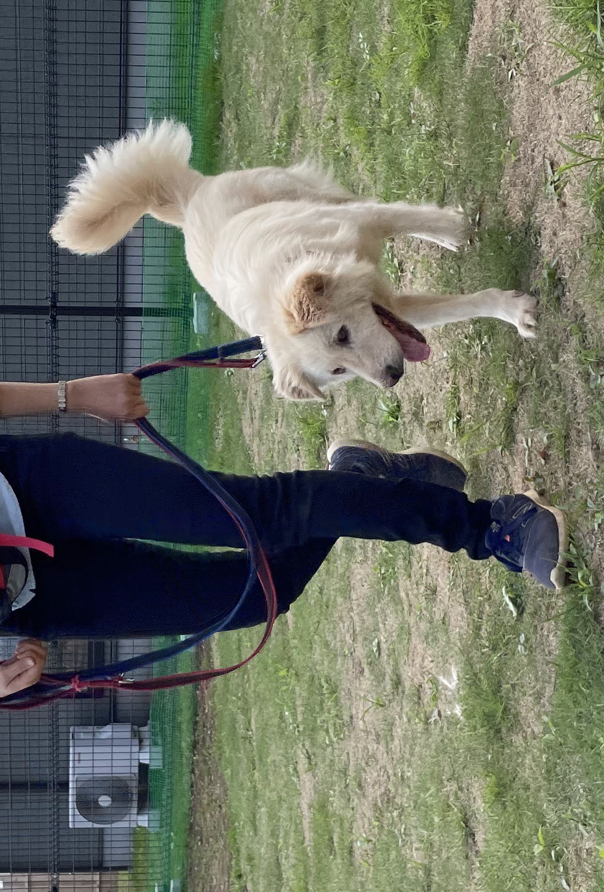 認定NPO法人キドックスの様子