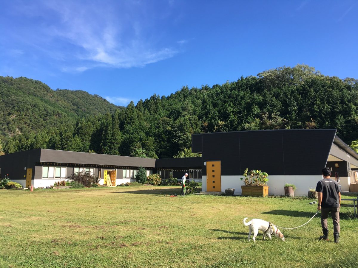 アニマルレフュージ関西(ARK)の様子