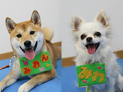 日本レスキュー協会の様子