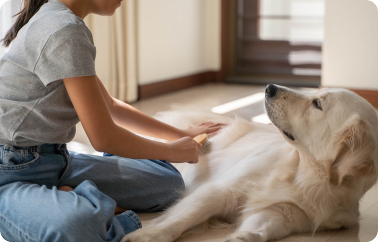 キャリア支援イメージ