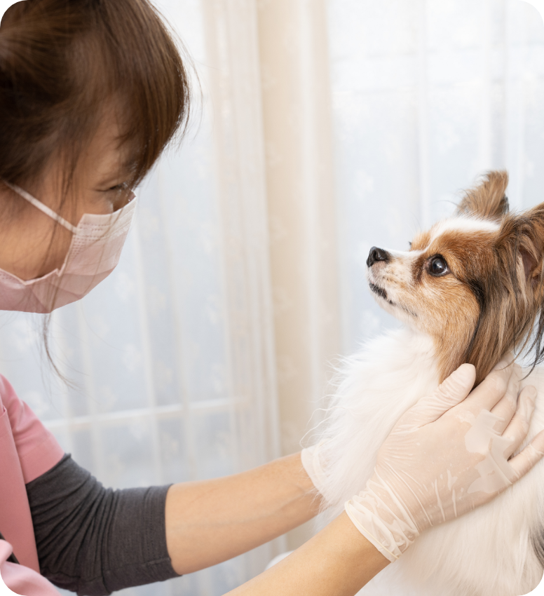 わんむすび動物医療基金 イメージ