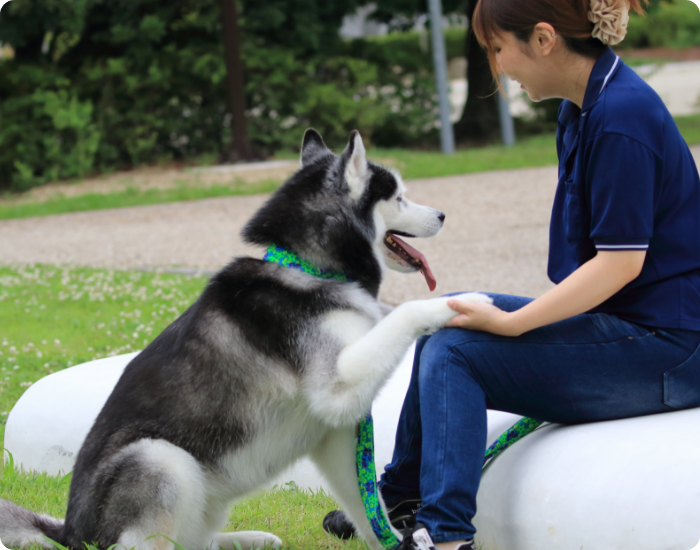 若者支援を受けたい方へ