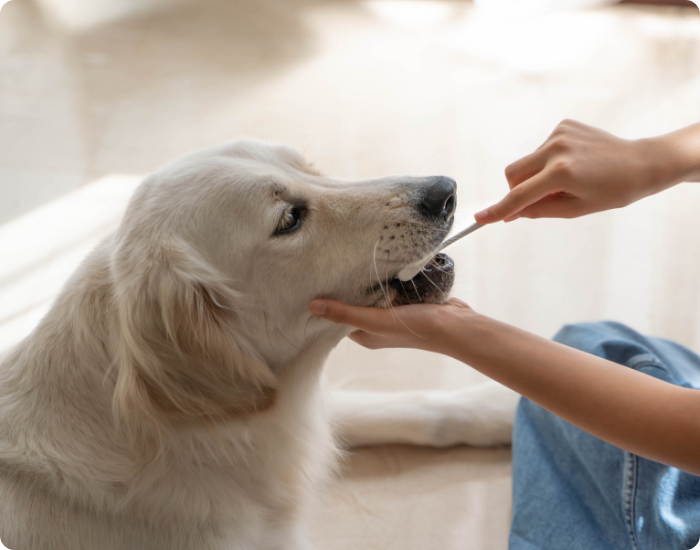 企業研修を検討されてる方へ